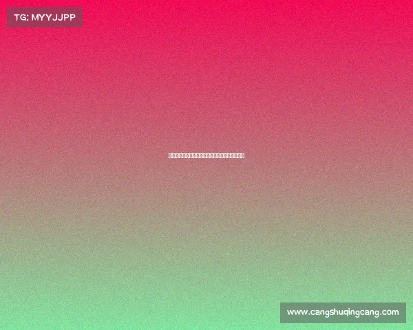 强化球队赛事纪律确保比赛公平公正团队合作规范