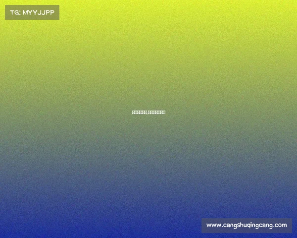 葡萄牙的赛事,葡萄牙赛事分析